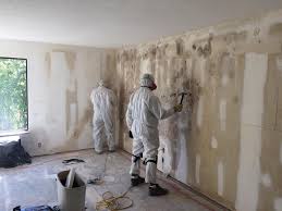 Best Environmental Consulting for Mold Prevention  in Chester, NY